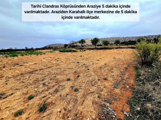 Uşak Karahallı Kavaklı'da 4.505 m2 Köy Girişi Arsa ve Bağ. Açıklamayı Okuyarak Arayınız