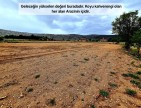 Uşak Karahallı Kavaklı'da 4.505 m2 Köy Girişi Arsa ve Bağ. Açıklamayı Okuyarak Arayınız