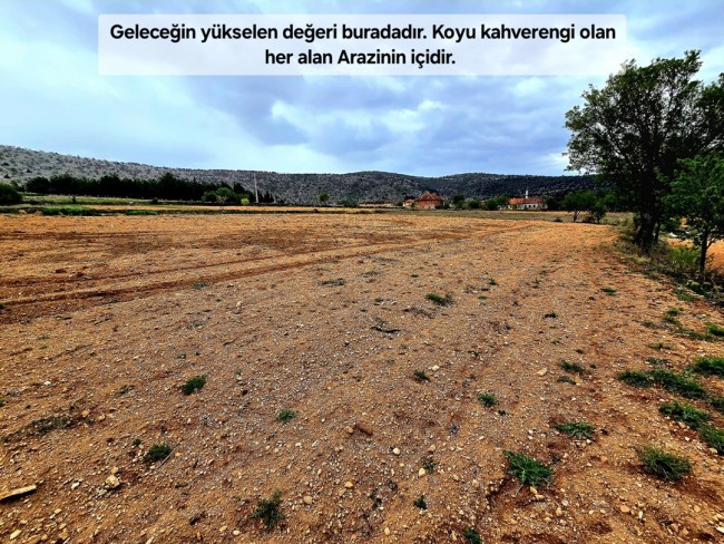 Uşak Karahallı Kavaklı'da 4.505 m2 Köy Girişi Arsa ve Bağ. Açıklamayı Okuyarak Arayınız