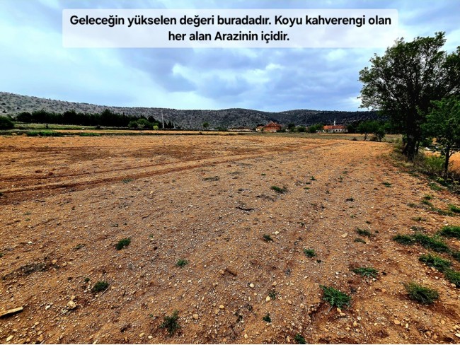 Uşak Karahallı Kavaklı'da 4.505 m2 Köy Girişi Arsa ve Bağ. Açıklamayı Okuyarak Arayınız