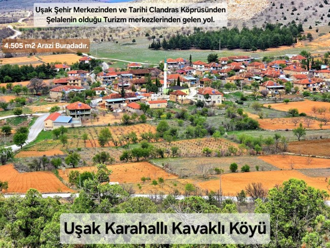 Uşak Karahallı Kavaklı'da 4.505 m2 Köy Girişi Arsa ve Bağ. Açıklamayı Okuyarak Arayınız