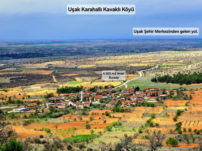 Uşak Karahallı Kavaklı'da 4.505 m2 Köy Girişi Arsa ve Bağ. Açıklamayı Okuyarak Arayınız