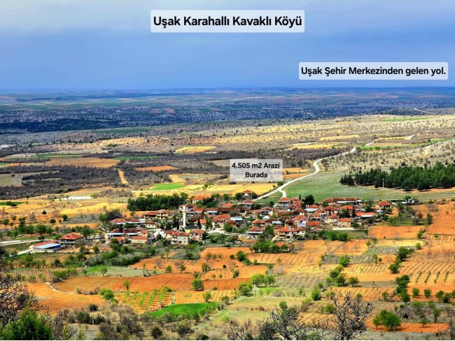 Uşak Karahallı Kavaklı'da 4.505 m2 Köy Girişi Arsa ve Bağ. Açıklamayı Okuyarak Arayınız