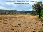 Uşak Karahallı Kavaklı'da 4.505 m2 Köy Girişi Arsa ve Bağ. Açıklamayı Okuyarak Arayınız