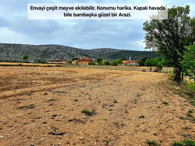 Uşak Karahallı Kavaklı'da 4.505 m2 Köy Girişi Arsa ve Bağ. Açıklamayı Okuyarak Arayınız