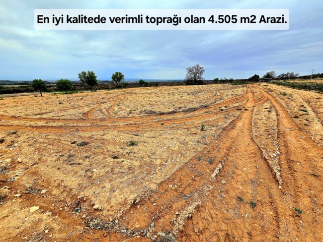Uşak Karahallı Kavaklı'da 4.505 m2 Köy Girişi Arsa ve Bağ. Açıklamayı Okuyarak Arayınız