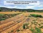 Uşak Karahallı Kavaklı'da 4.505 m2 Köy Girişi Arsa ve Bağ. Açıklamayı Okuyarak Arayınız