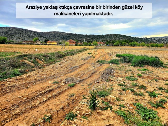 Uşak Karahallı Kavaklı'da 4.505 m2 Köy Girişi Arsa ve Bağ. Açıklamayı Okuyarak Arayınız