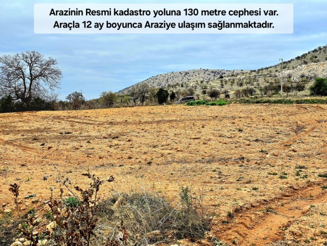 Uşak Karahallı Kavaklı'da 4.505 m2 Köy Girişi Arsa ve Bağ. Açıklamayı Okuyarak Arayınız