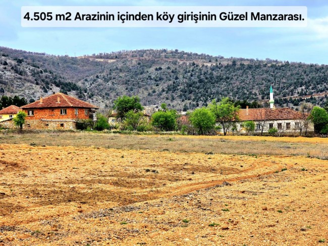 Uşak Karahallı Kavaklı'da 4.505 m2 Köy Girişi Arsa ve Bağ. Açıklamayı Okuyarak Arayınız