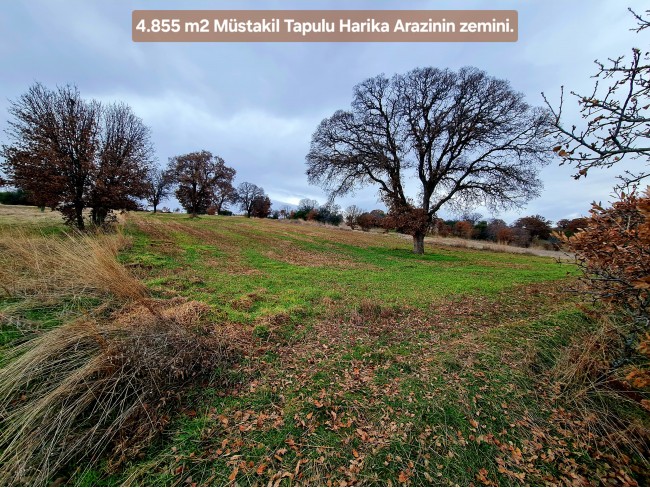 Uşak Ulubey Kışla'da Köy Doğa Yol Manzaralı, İmara Yakın 4.855 m2 Arazi. Açıklamayı Okuyunuz