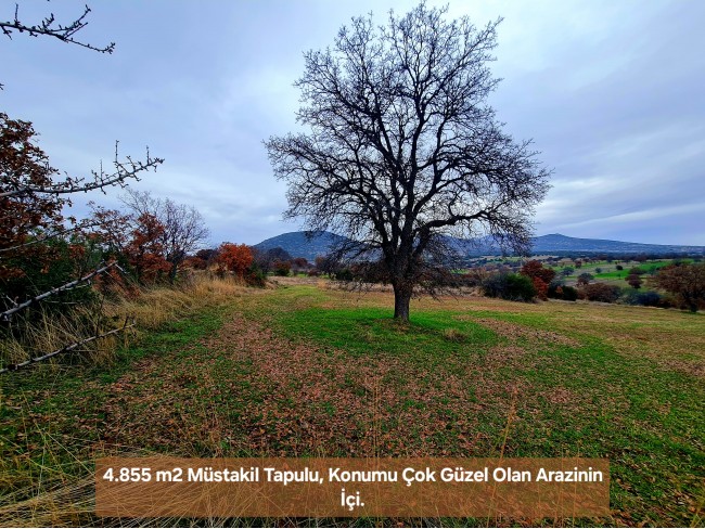 Uşak Ulubey Kışla'da Köy Doğa Yol Manzaralı, İmara Yakın 4.855 m2 Arazi. Açıklamayı Okuyunuz