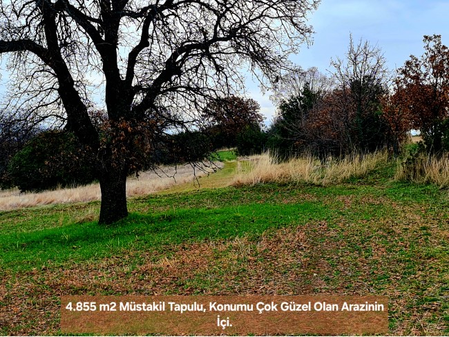 Uşak Ulubey Kışla'da Köy Doğa Yol Manzaralı, İmara Yakın 4.855 m2 Arazi. Açıklamayı Okuyunuz