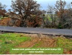 Uşak Ulubey Kışla'da Köy Doğa Yol Manzaralı, İmara Yakın 4.855 m2 Arazi. Açıklamayı Okuyunuz