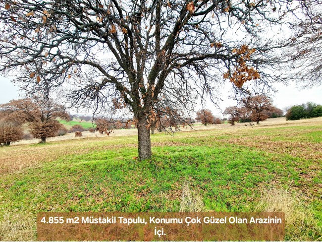 Uşak Ulubey Kışla'da Köy Doğa Yol Manzaralı, İmara Yakın 4.855 m2 Arazi. Açıklamayı Okuyunuz