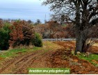 Uşak Ulubey Kışla'da Köy Doğa Yol Manzaralı, İmara Yakın 4.855 m2 Arazi. Açıklamayı Okuyunuz