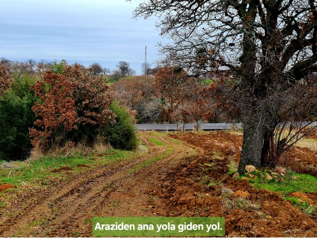 Uşak Ulubey Kışla'da Köy Doğa Yol Manzaralı, İmara Yakın 4.855 m2 Arazi. Açıklamayı Okuyunuz