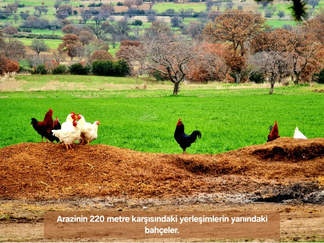Uşak Ulubey Kışla'da Köy Doğa Yol Manzaralı, İmara Yakın 4.855 m2 Arazi. Açıklamayı Okuyunuz