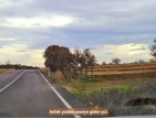 Uşak Ulubey Kışla'da Köy Doğa Yol Manzaralı, İmara Yakın 4.855 m2 Arazi. Açıklamayı Okuyunuz