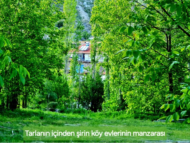 Afyonkarahisar Hocalar Akçadere Köydibinde 1.944 m2 Tarla. Açıklamayı Okuyunuz