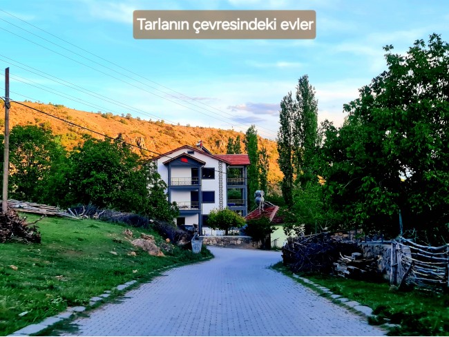 Afyonkarahisar Hocalar Akçadere Köydibinde 1.944 m2 Tarla. Açıklamayı Okuyunuz