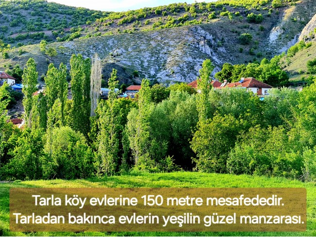 Afyonkarahisar Hocalar Akçadere Köydibinde 1.944 m2 Tarla. Açıklamayı Okuyunuz