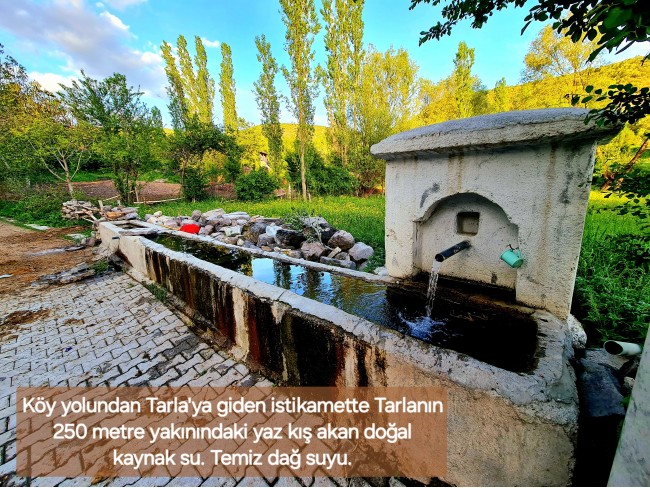 Afyonkarahisar Hocalar Akçadere Köydibinde 1.944 m2 Tarla. Açıklamayı Okuyunuz