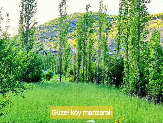 Afyonkarahisar Hocalar Akçadere Köydibinde 1.944 m2 Tarla. Açıklamayı Okuyunuz