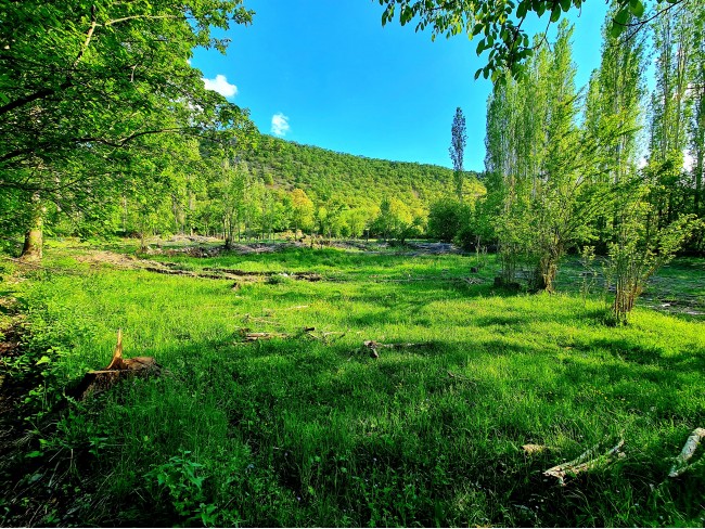 Afyonkarahisar Hocalar Akçadere Köydibinde 1.944 m2 Tarla. Açıklamayı Okuyunuz