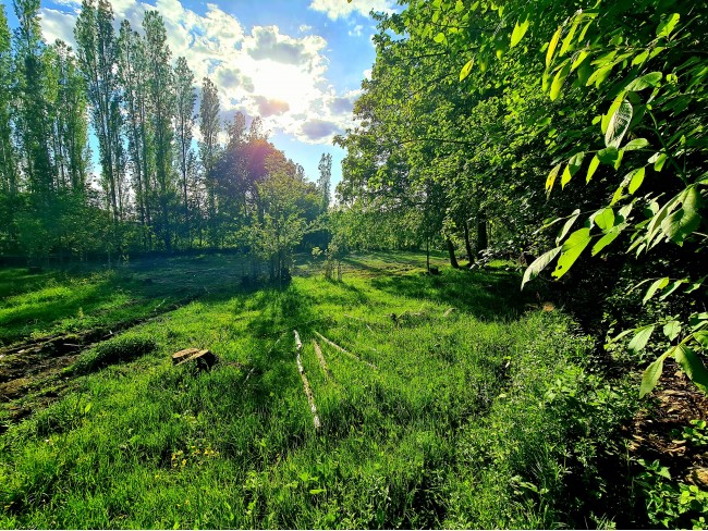 Afyonkarahisar Hocalar Akçadere Köydibinde 1.944 m2 Tarla. Açıklamayı Okuyunuz