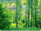 Afyonkarahisar Hocalar Akçadere Köydibinde 1.944 m2 Tarla. Açıklamayı Okuyunuz