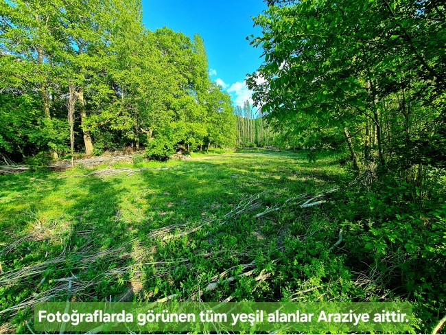 Afyonkarahisar Hocalar Akçadere Köydibinde 1.944 m2 Tarla. Açıklamayı Okuyunuz