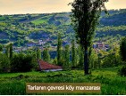 Afyonkarahisar Hocalar Akçadere Köydibinde 1.944 m2 Tarla. Açıklamayı Okuyunuz