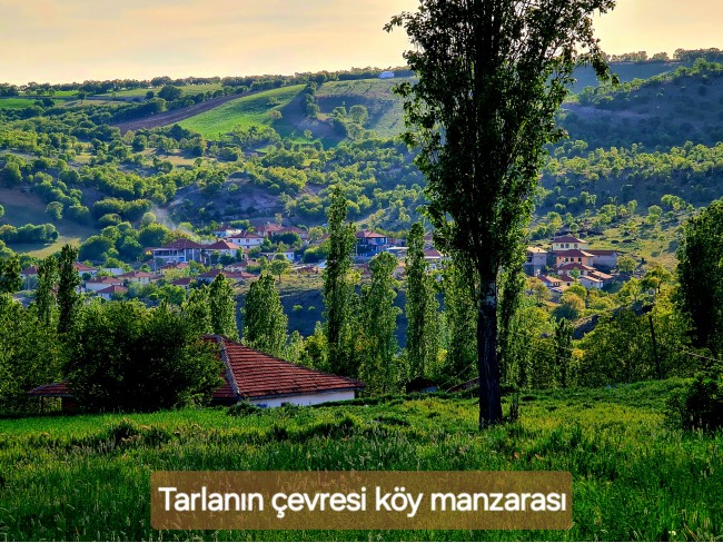 Afyonkarahisar Hocalar Akçadere Köydibinde 1.944 m2 Tarla. Açıklamayı Okuyunuz