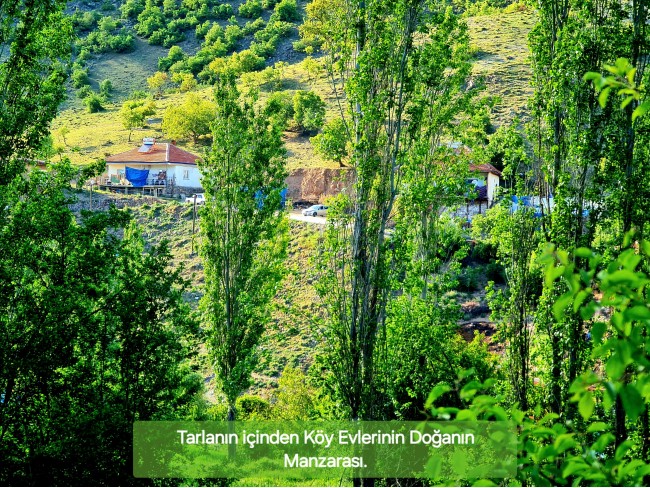 Afyonkarahisar Hocalar Akçadere Köydibinde 1.944 m2 Tarla. Açıklamayı Okuyunuz