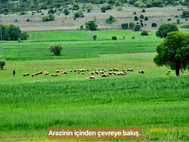 Kütahya Emet Aydıncık'da Köy ve Doğa Manzaralı 3.347 m2 Yatırımlık Tarla. İlan Açıklamasını Okuyunuz