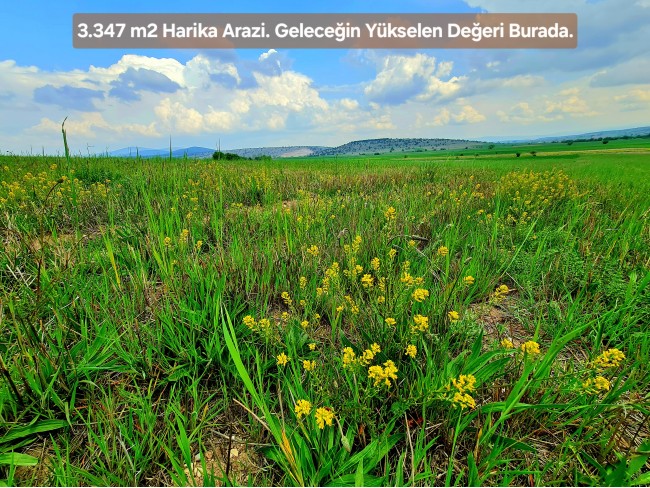 Kütahya Emet Aydıncık'da Köy ve Doğa Manzaralı 3.347 m2 Yatırımlık Tarla. İlan Açıklamasını Okuyunuz