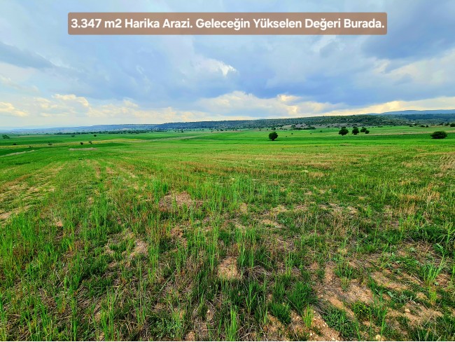 Kütahya Emet Aydıncık'da Köy ve Doğa Manzaralı 3.347 m2 Yatırımlık Tarla. İlan Açıklamasını Okuyunuz