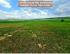 Kütahya Emet Aydıncık'da Köy ve Doğa Manzaralı 3.347 m2 Yatırımlık Tarla. İlan Açıklamasını Okuyunuz