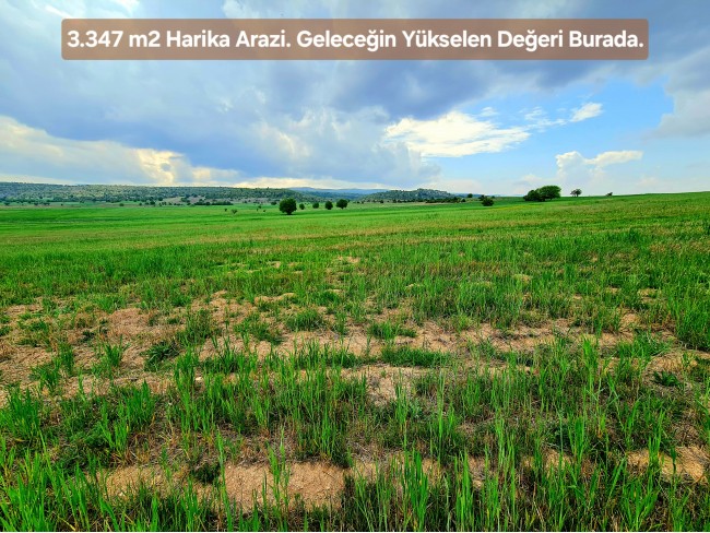 Kütahya Emet Aydıncık'da Köy ve Doğa Manzaralı 3.347 m2 Yatırımlık Tarla. İlan Açıklamasını Okuyunuz