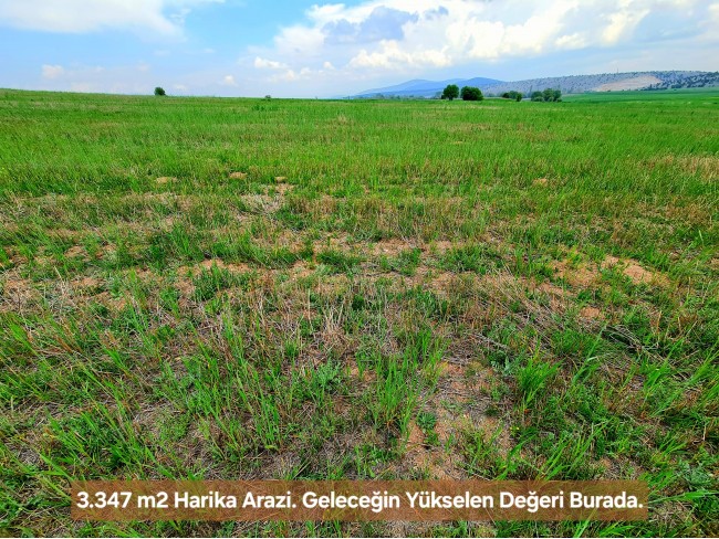 Kütahya Emet Aydıncık'da Köy ve Doğa Manzaralı 3.347 m2 Yatırımlık Tarla. İlan Açıklamasını Okuyunuz