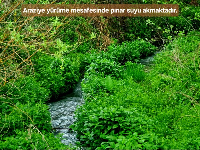 Kütahya Emet Aydıncık'da Köy ve Doğa Manzaralı 3.347 m2 Yatırımlık Tarla. İlan Açıklamasını Okuyunuz