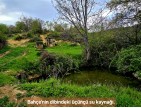 Uşak Banaz Kızılhisar'da Köy ve Doğa Manzaralı 1.000 m2 Çok Güzel Bahçe. Açıklamayı Okuyunuz