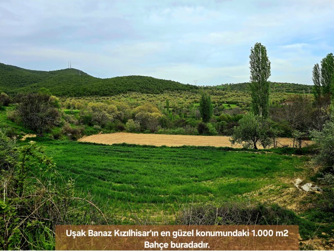Uşak Banaz Kızılhisar'da Köy ve Doğa Manzaralı 1.000 m2 Çok Güzel Bahçe. Açıklamayı Okuyunuz
