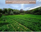 Uşak Banaz Kızılhisar'da Köy ve Doğa Manzaralı 1.000 m2 Çok Güzel Bahçe. Açıklamayı Okuyunuz