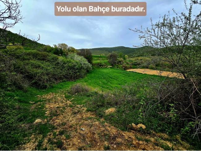Uşak Banaz Kızılhisar'da Köy ve Doğa Manzaralı 1.000 m2 Çok Güzel Bahçe. Açıklamayı Okuyunuz