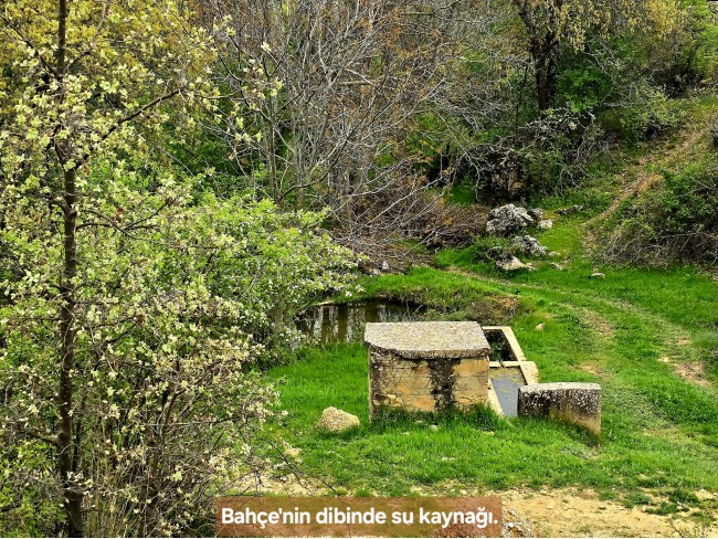 Uşak Banaz Kızılhisar'da Köy ve Doğa Manzaralı 1.000 m2 Çok Güzel Bahçe. Açıklamayı Okuyunuz