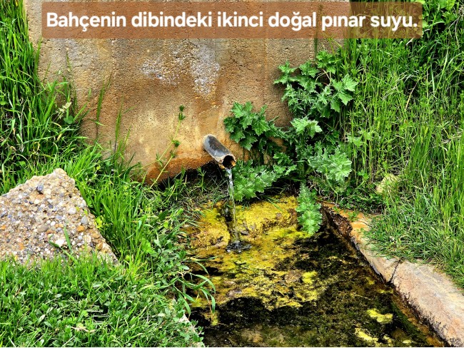 Uşak Banaz Kızılhisar'da Köy ve Doğa Manzaralı 1.000 m2 Çok Güzel Bahçe. Açıklamayı Okuyunuz