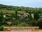 Uşak Banaz Kızılhisar'da Köy ve Doğa Manzaralı 1.000 m2 Çok Güzel Bahçe. Açıklamayı Okuyunuz