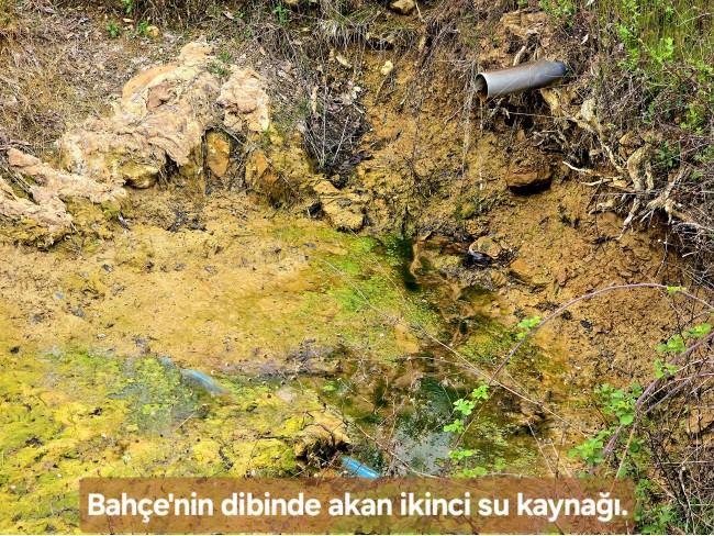 Uşak Banaz Kızılhisar'da Köy ve Doğa Manzaralı 1.000 m2 Çok Güzel Bahçe. Açıklamayı Okuyunuz